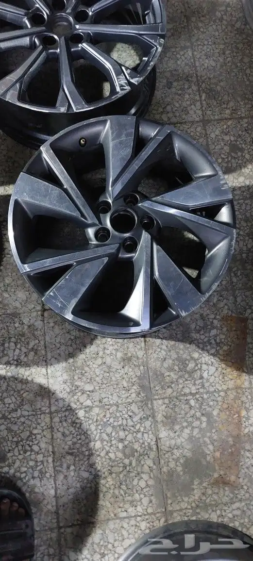 يوجد جنوط 1