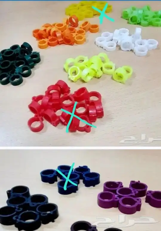 حجول بلاستيك مقاس 11 غير مرقم حجول دجاج بلدي 0