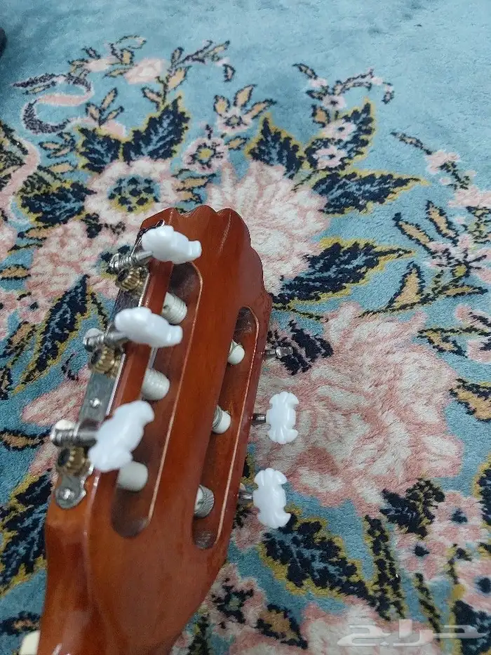 جيتارsamich C_1 6