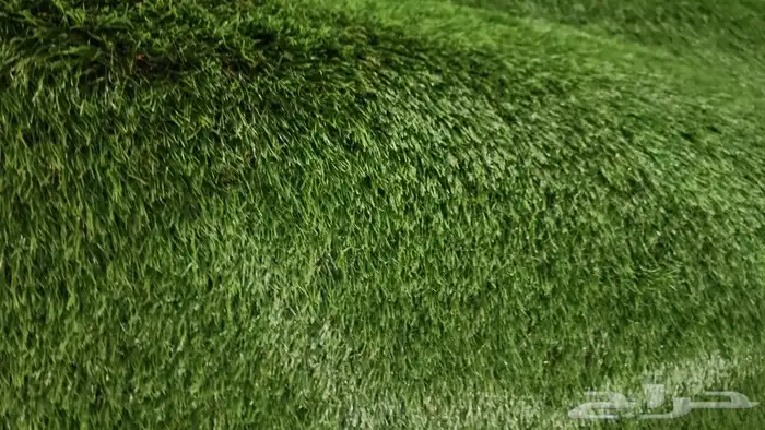 عشب ارضى عشب جدارى بسعر الجملة 1