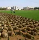 ثيل طبيعي سي 2000 5