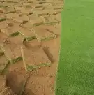 ثيل طبيعي سي 2000 4