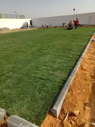 ثيل طبيعي سي 2000 2