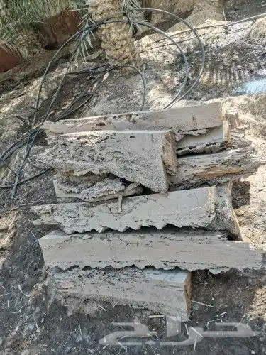 للبيع جذوع نخيل 1