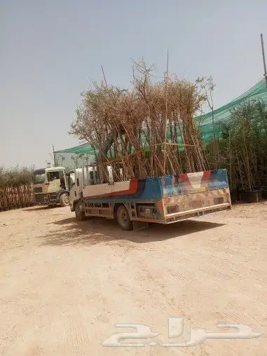 دينه كرين مشاوير داخلي الرياض وخارج 6