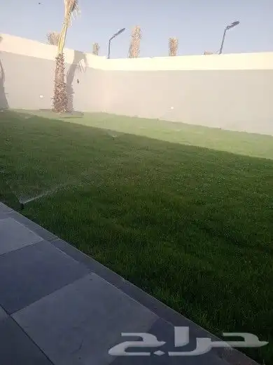 ثيل طبيعي سي 2000 0