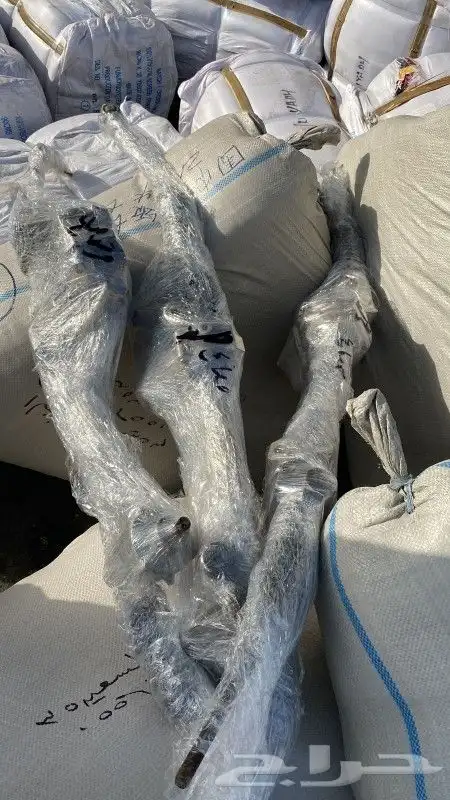 اخصائي دوده دركسيون صيانه وبيع مع الضمان 1