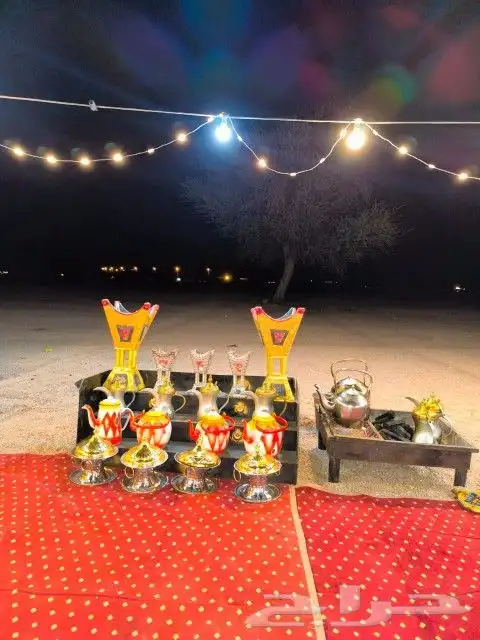 زهرة الجبلين للرحلات البرية بيت شعر ملكي كشتات طلعات قيلات 32