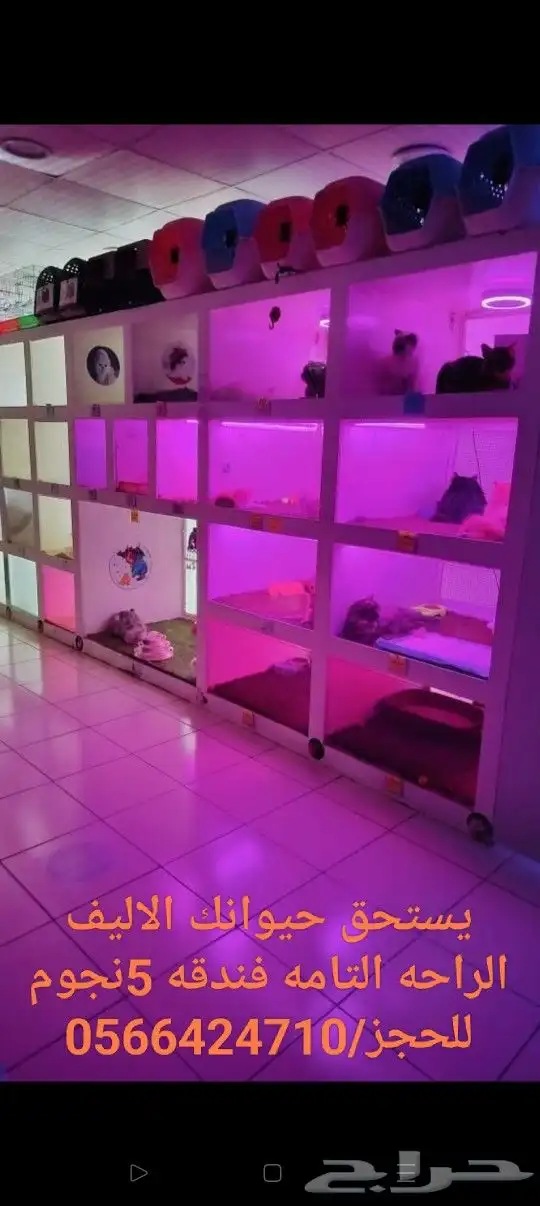 فندقه يستحق حيوانك الاليف الراحه التامه 3
