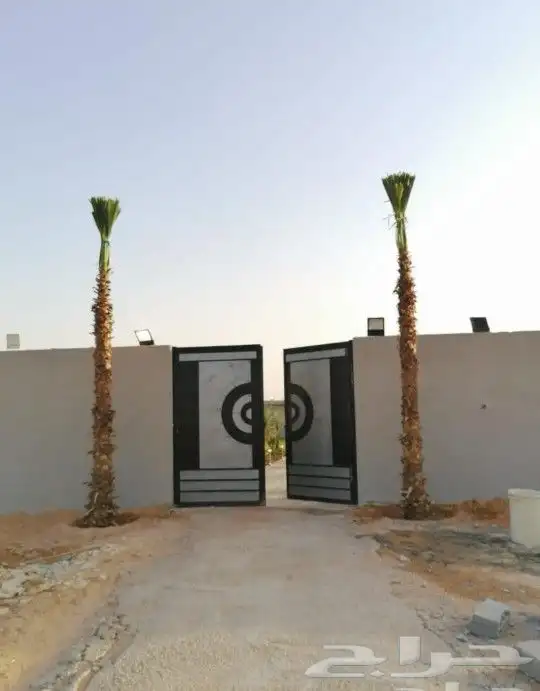 زراعه النخيل الواشنطني الزينه 3