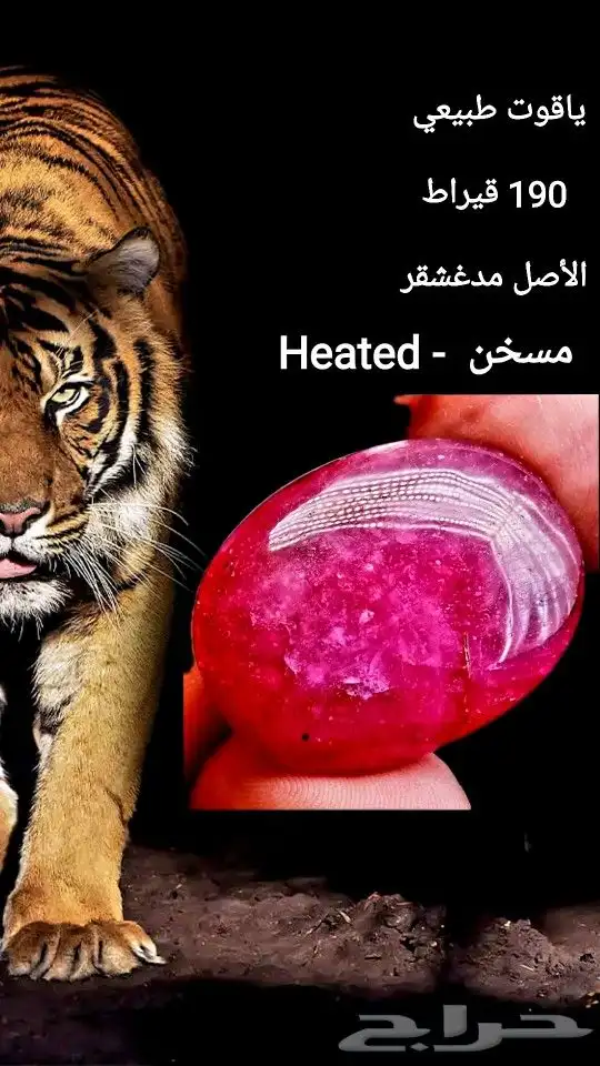 ياقوت طبيعي 190 قيراط 0