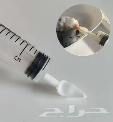 إبرة وملعقة غر للفروخ 4