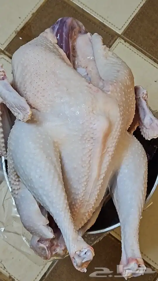 ديك رومي ذبح من 5 الى 7 كيلو رقم الاعلان 10 06 2024 3