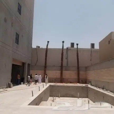 نخل واشنطن امريكي2025 0