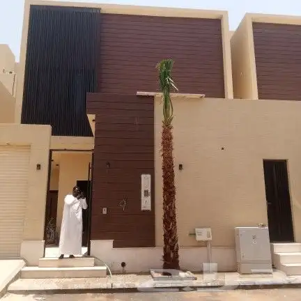 نخل واشنطن امريكي2025 1
