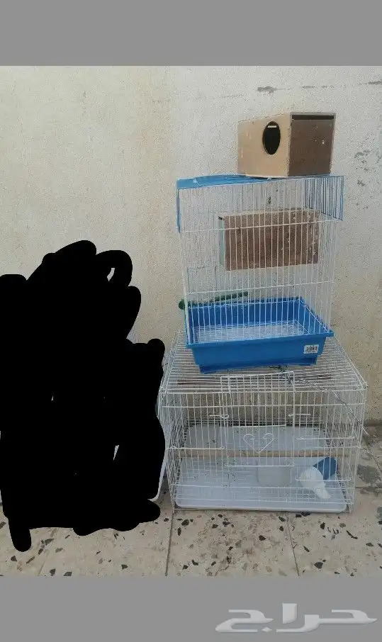 قفصين مستعمله للبيع معى بياضتين مستعمله للبيع 0