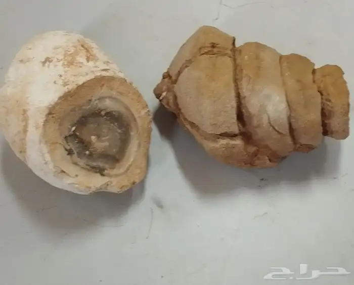 تراثيات نادرة ومميزة 31