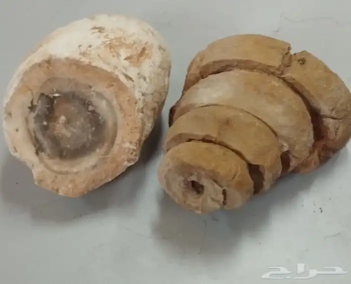 تراثيات نادرة ومميزة 28