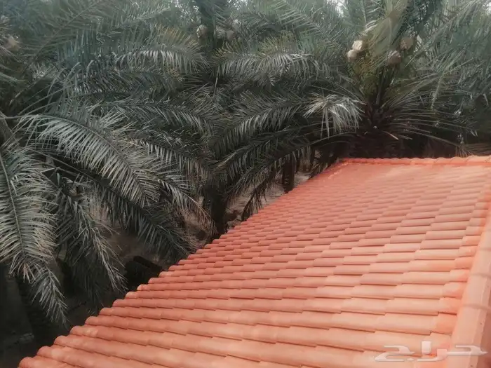 قرميد منفذين أحمال قرميد 3