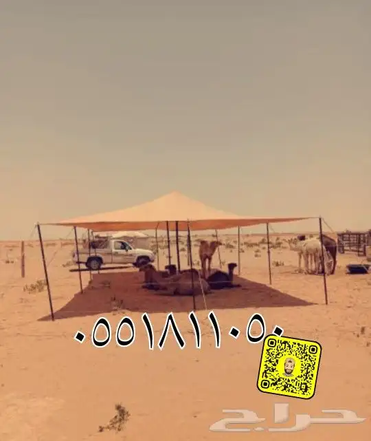 مضلات غنم. كوري   القصيم   بريده 0