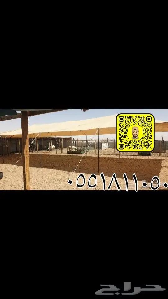 مضلات غنم مضلات حلال كوري   القصيم   بريده 2