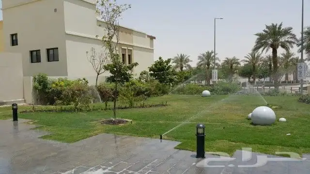 الرياض 8