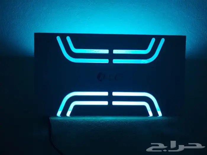 مصيدة حشرات جداريه 12