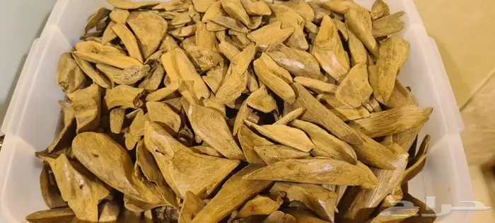عود طبيعي موروكي آصقون سوبر مرتفع 2