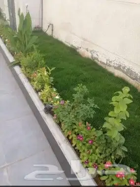 تنسيق حدائق المنطقه الشرقيه 8