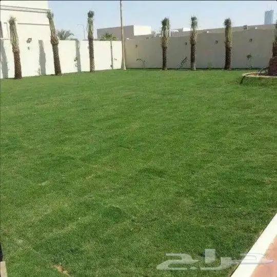 تنسيق حدائق المنطقه الشرقيه 6