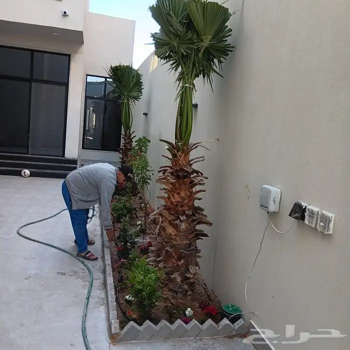 تنسيق حدائق المنطقه الشرقيه 4