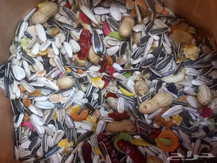 تم وصول اكل كروان وروز فرسلاقا وجميع انوع الاعلاف 4