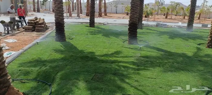 مشتل المهندس أبو سجي لصيانه وتنسيق الحدائق 9