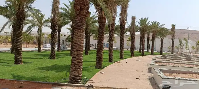 مشتل المهندس أبو سجي لصيانه وتنسيق الحدائق 5