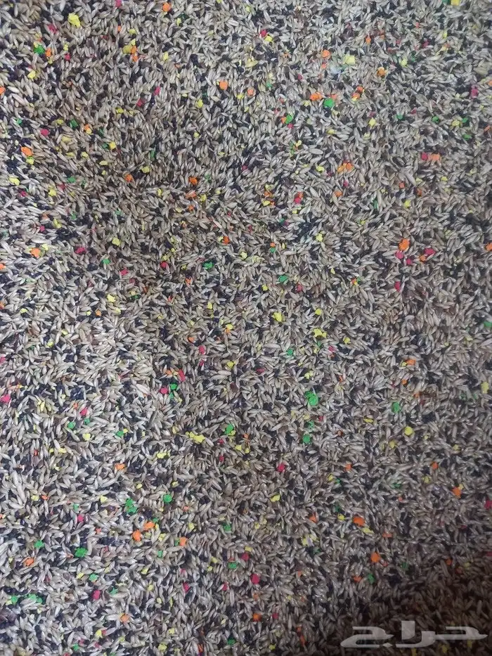 تم وصول اكل كروان وروز فرسلاقا وجميع انوع الاعلاف 7