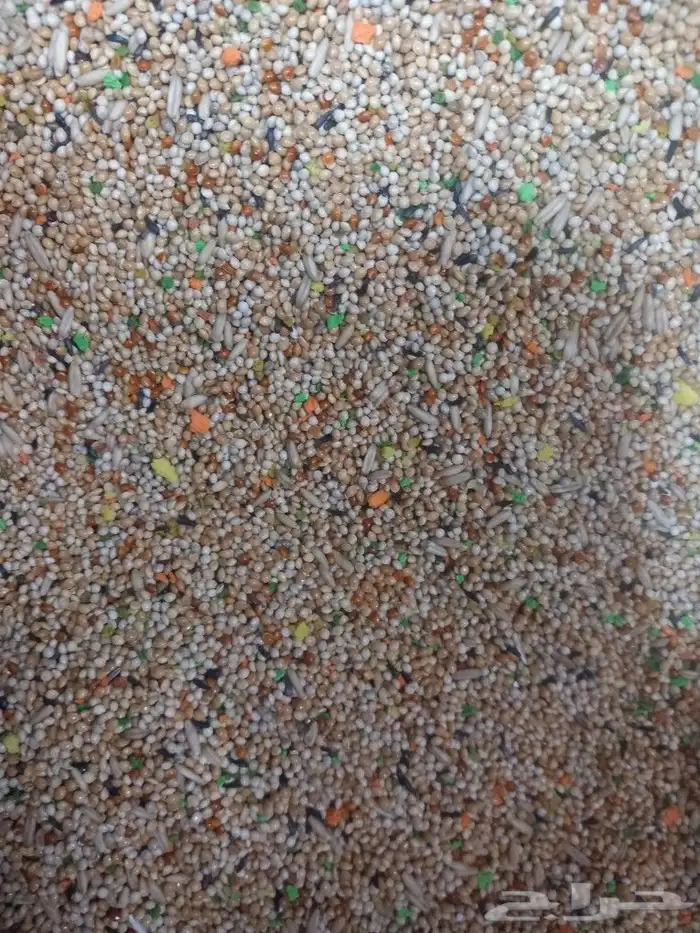 تم وصول اكل كروان وروز فرسلاقا وجميع انوع الاعلاف 6