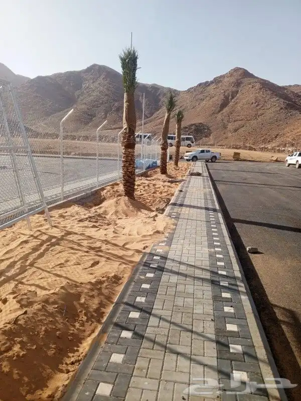 ابوعلي لزراعت انخيل تبوك العلا تيما حقل ضبا شرمه البدع شقري 7