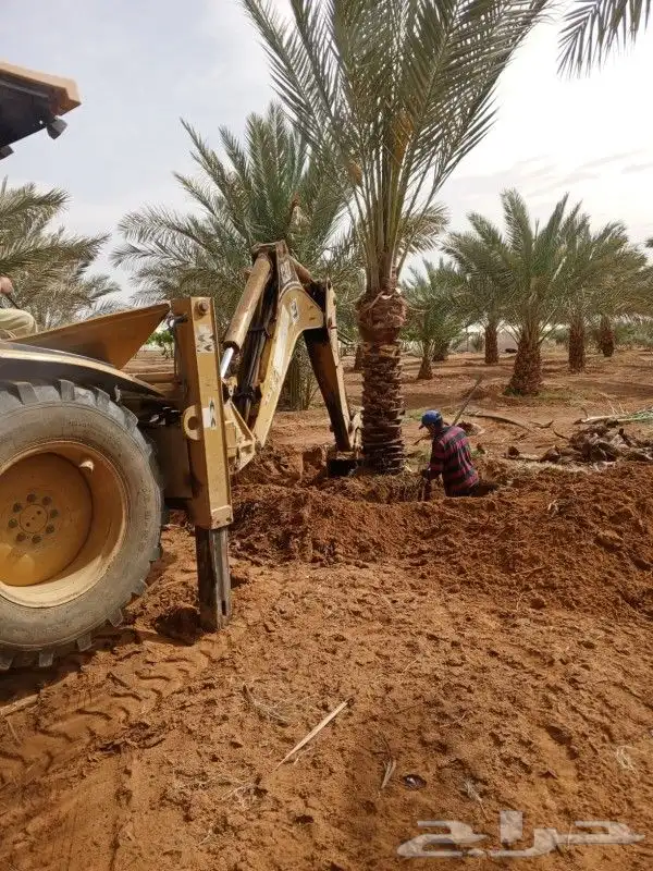 ابوعلي لزراعت انخيل تبوك العلا تيما حقل ضبا شرمه البدع شقري 1