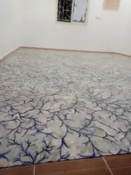 موقعنا فى بيشه 19