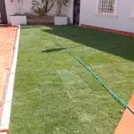 مشتل لجميع اغراض الزراعه السباكه الزراعيه أشجار زهور ثيل شتل 8
