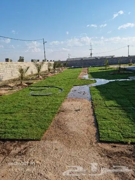 كل مايخص الزراعه والتنسيق توريد وبيع وزراعه اشجار وثيل وزهور 13