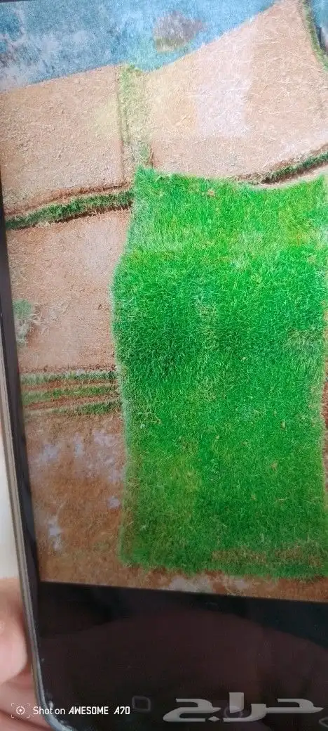 مشتل لجميع اغراض الزراعه السباكه الزراعيه أشجار زهور ثيل شتل 0