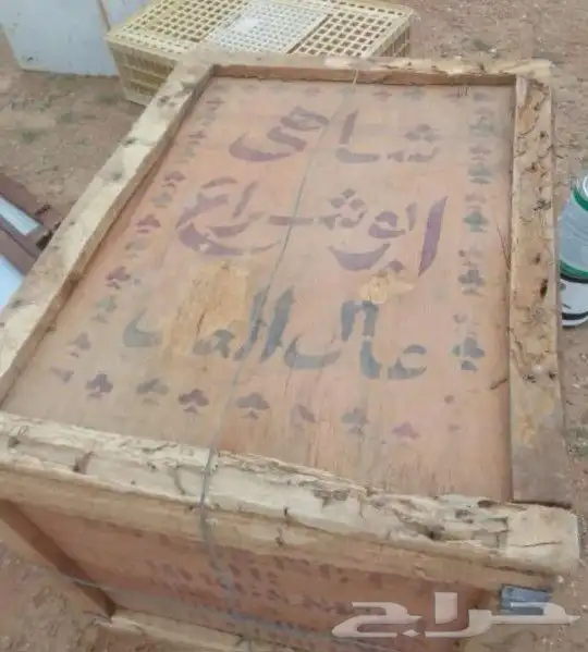 شاهي ابو شراع في صندوق خشب 1