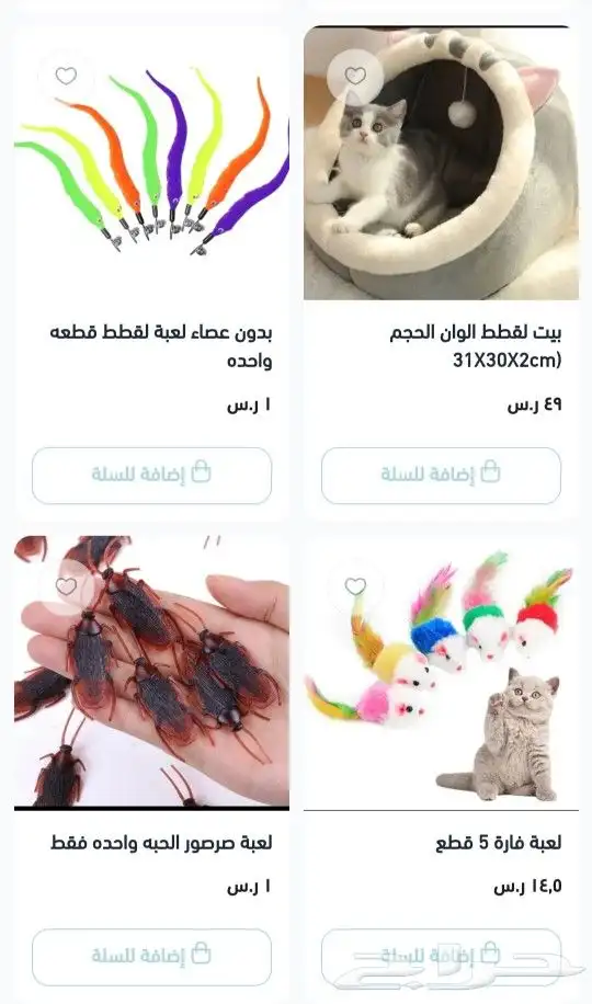 لمحبين القطط اسعارنا غير ونوصل بنفس اليوم 2