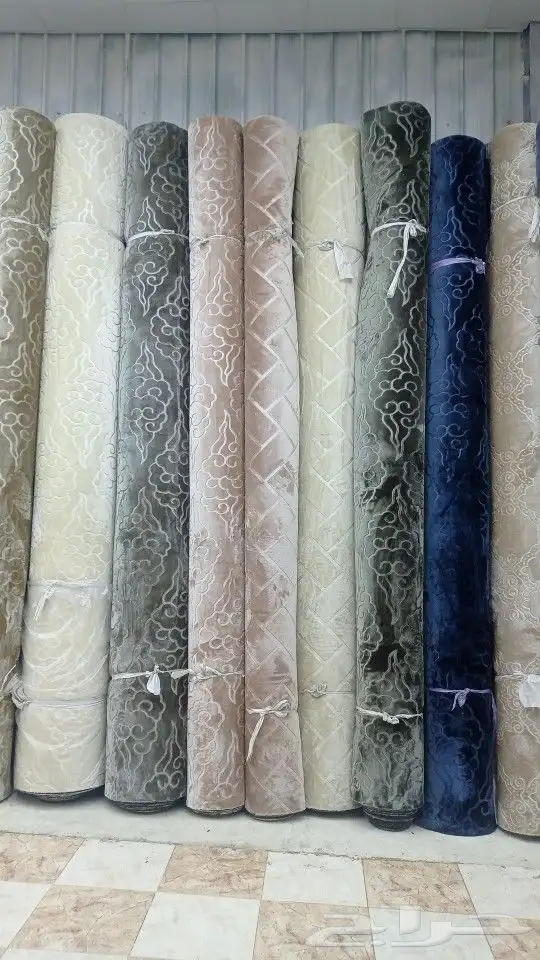 موقعنا فى بيشه 8