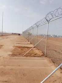 شبوك ونخيل ومضلات وهناقر 5