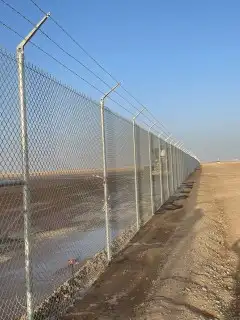 شبوك ونخيل ومضلات وهناقر 1
