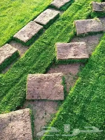 تنسيق حدائق 7