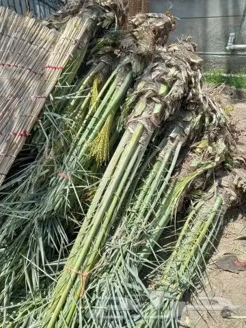 تنسيق حدائق 4