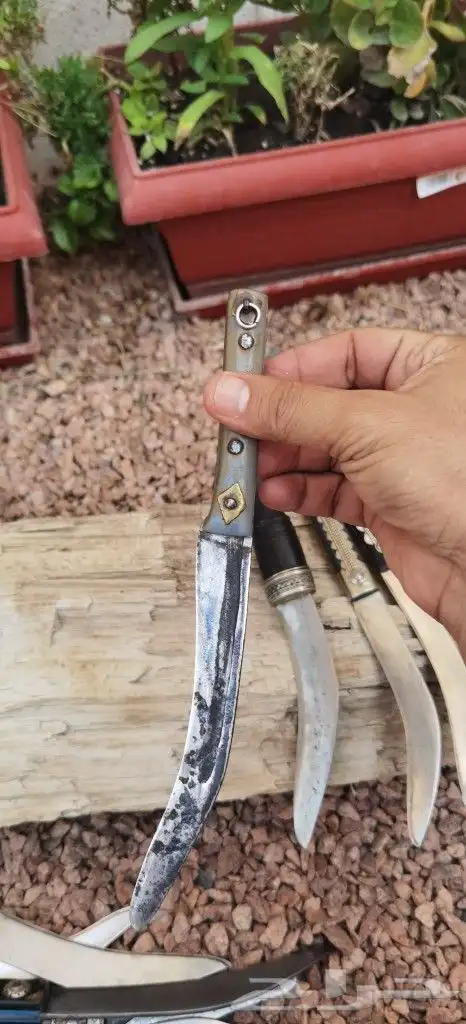 جنابي زراف _ خدمات جنابي قديم و نادره 19